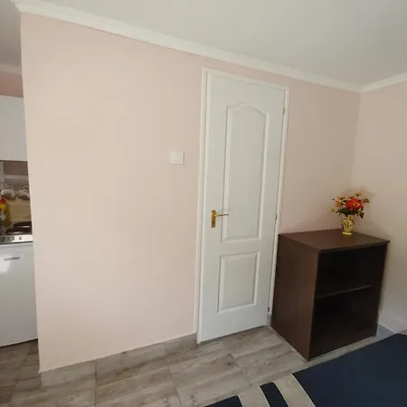 Ezuestfenyo Vendeghaz Guest house Sarospatak