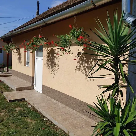 Ezuestfenyo Vendeghaz Guest house