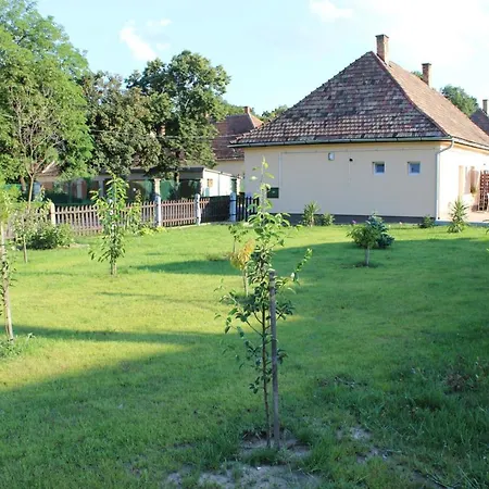 Ezüstfenyő